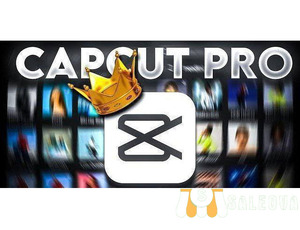 Capcut pro for android and pc